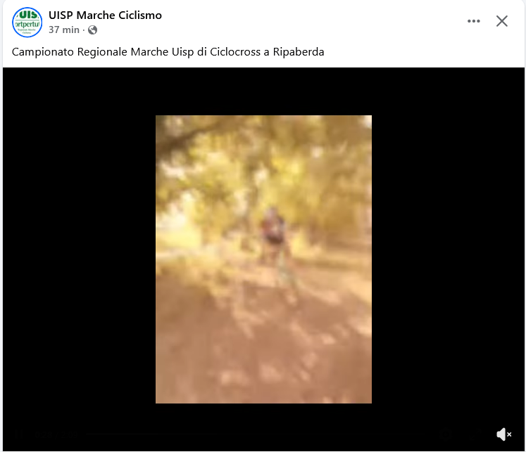20261011_rip_vid.png