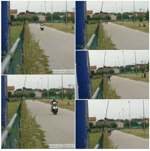 30_maggio_2018_baldoni.png