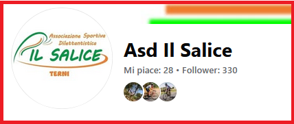 asd_il-salice_.png