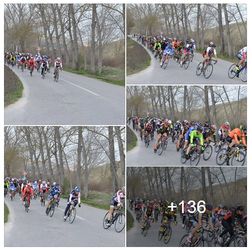 foto_grottazzolina_4_marzo_mancini.png