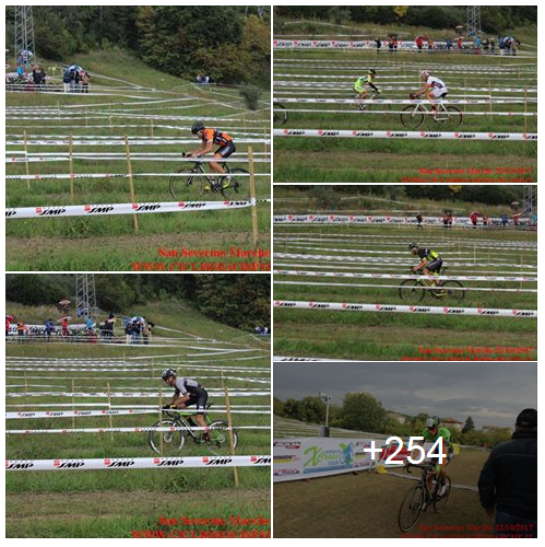 san_severino_2017_cross.png