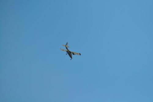 dsc_0443_800x531.jpg