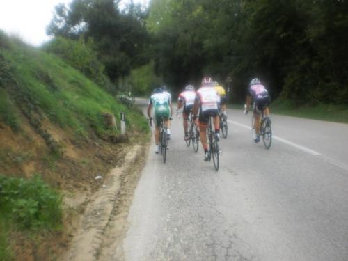 pa130751.jpg