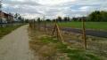 20101025_017.jpg