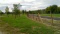 20101025_018.jpg