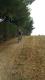 20160723_172611.jpg