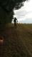 20160723_172808.jpg