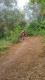 20160723_174901.jpg