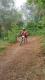 20160723_174905.jpg