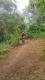 20160723_175014.jpg