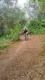 20160723_175027.jpg