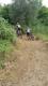 20160723_175136.jpg