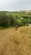 20160723_175425.jpg