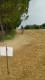 20160723_180225.jpg