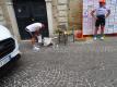 dsc01047.jpg